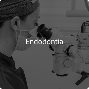 Endodontia